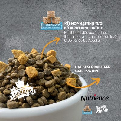 Thức Ăn Hạt Cho Mèo Nutrience Subzero Bao 5kg - Thịt Gà, Cá Hồi, Cá Tuyết, Rau Củ, Trái Cây Tự Nhiên