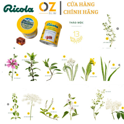 Hỗ trợ giảm đau họng Ricola Shweizer Krauterzucker chứa 13 loại thảo mộc đem đến cảm giác dịu nhẹ cổ họng và thơm mát (dạng kẹo) - OZ Slim Store