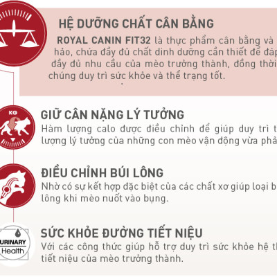 Hạt Royal Canin Cho Mèo Trưởng Thành Fit 32