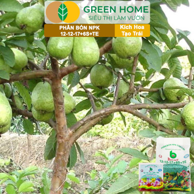 Phân bón NPK 12-12-17-6S+TE Greenhome, Better, Bao 1kg, Tăng Đậu Trái Cây Ăn Củ, Quả