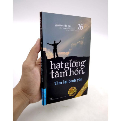 Sách Hạt Giống Tâm Hồn 16 Tìm Lại Bình Yên First News