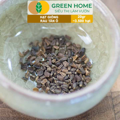 Hạt Giống Rau Tần Ô Greenhome, Gói 20g~3500 hạt, Cải Cúc Dễ Trồng, Thu Hoạch Nhanh R02