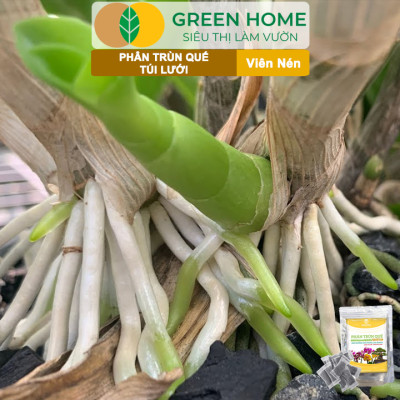 Phân Trùn Quế Viên Nén Greenhome, Lavamix, Túi lưới, Bao 36 Túi, Dinh Dưỡng Hữu Cơ, Không Mùi, Tốt Cho Lan, Bonsai, Rau