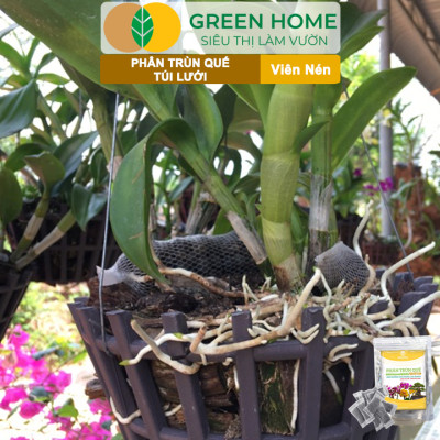 Phân Trùn Quế Viên Nén Greenhome, Lavamix, Túi lưới, Bao 36 Túi, Dinh Dưỡng Hữu Cơ, Không Mùi, Tốt Cho Lan, Bonsai, Rau